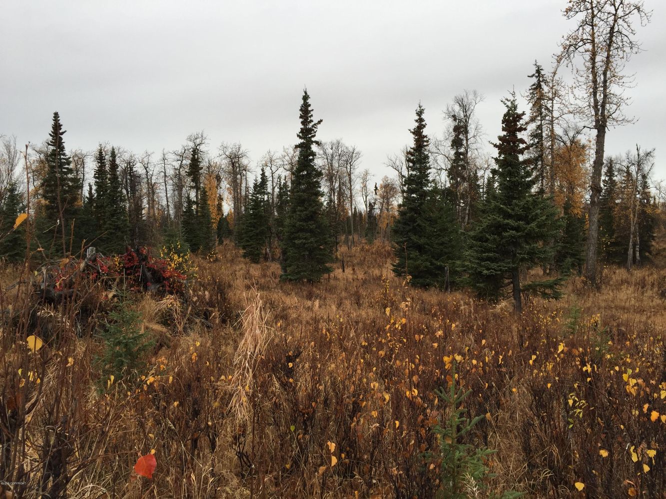 63885 Tailwind Rd, Ninilchik, AK 99639